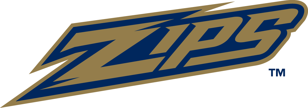 Akron Zips 2002-Pres Wordmark Logo v2 iron on transfers for fabric